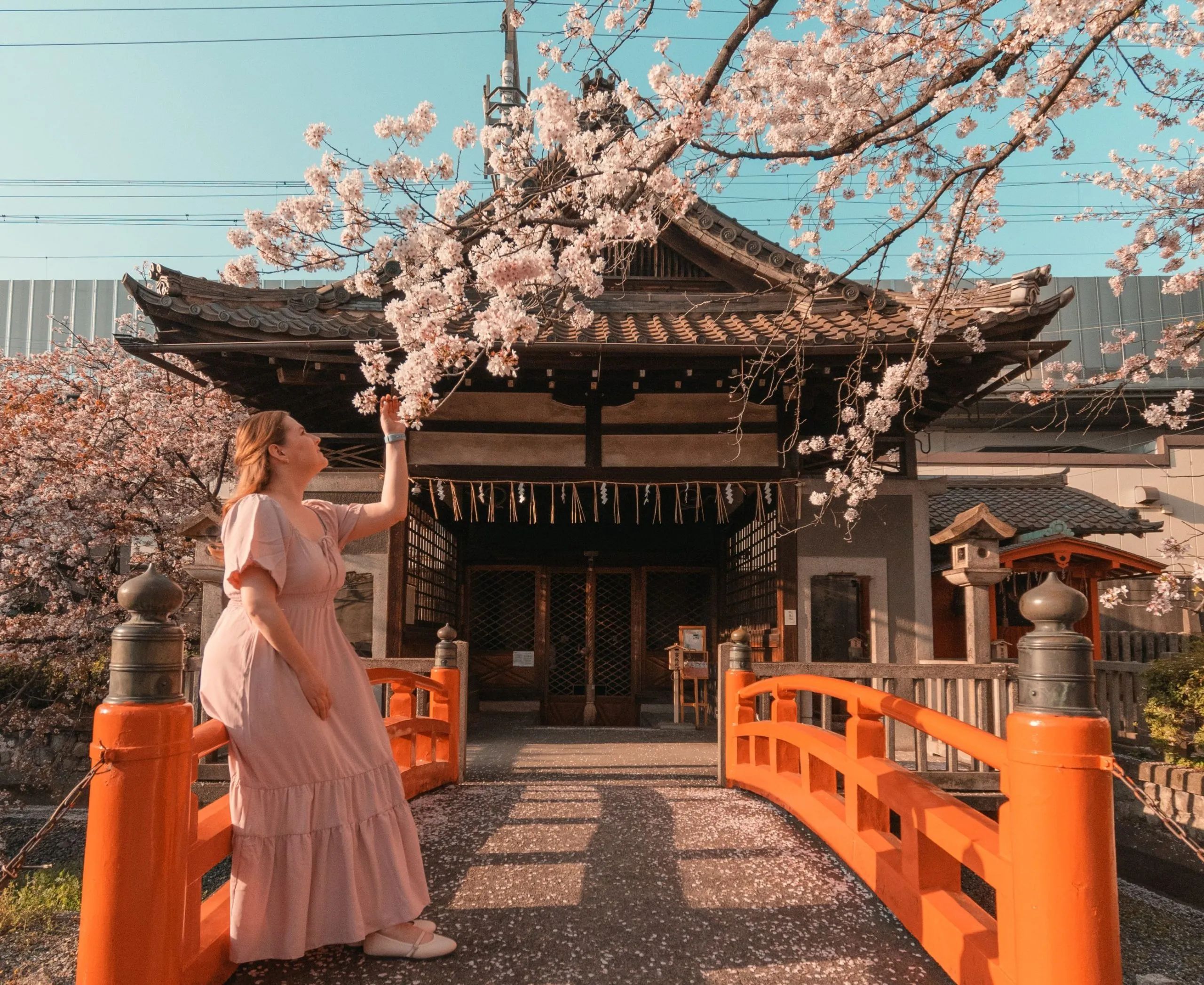 ⛩️ 백제왕 신사 (구다라오 진자) 이미지 9